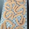 18 aligner models for printing-3